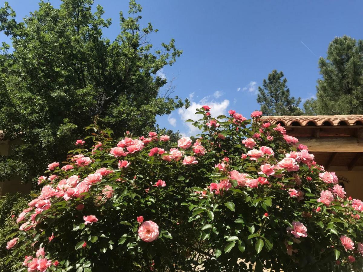 Le Clos Des Cigales Roussillon en Isere Exterior foto